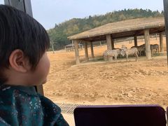 -海南热带野生动植物园