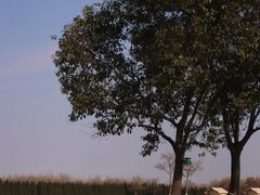 -汉长安城未央宫国家考古遗址公园