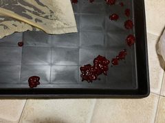 -守诺宠物医院·眼科· 特色牙科·异宠专科(虹口店)
