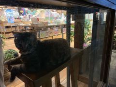 -猫的天空之城概念书店(杭州南宋御街店)