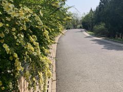 -北京园博大酒店