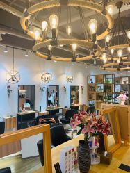 -Mentor Hair Salon
