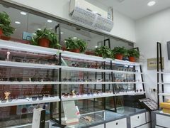 -中国丹阳眼镜城
