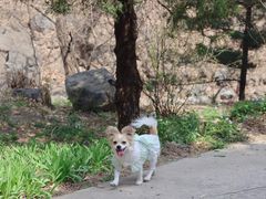 -大觉寺-停车场