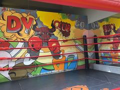 -大焱搏击·泰拳·拳击俱乐部(大柏树店)