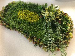-大葱柠檬茶scallionlemontea(中山八路富力店)