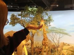 -陕西自然博物馆