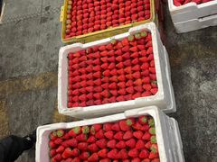 -西郊国际农产品交易中心