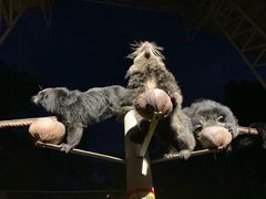 -清迈夜间动物园