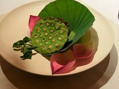 -叶叶菩提·晋福宫