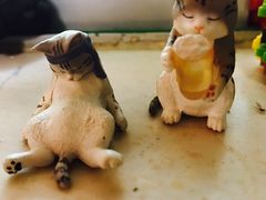 -拉面莊夢語＆中华料理八椿