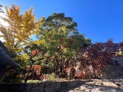 -云峰山自然风景区