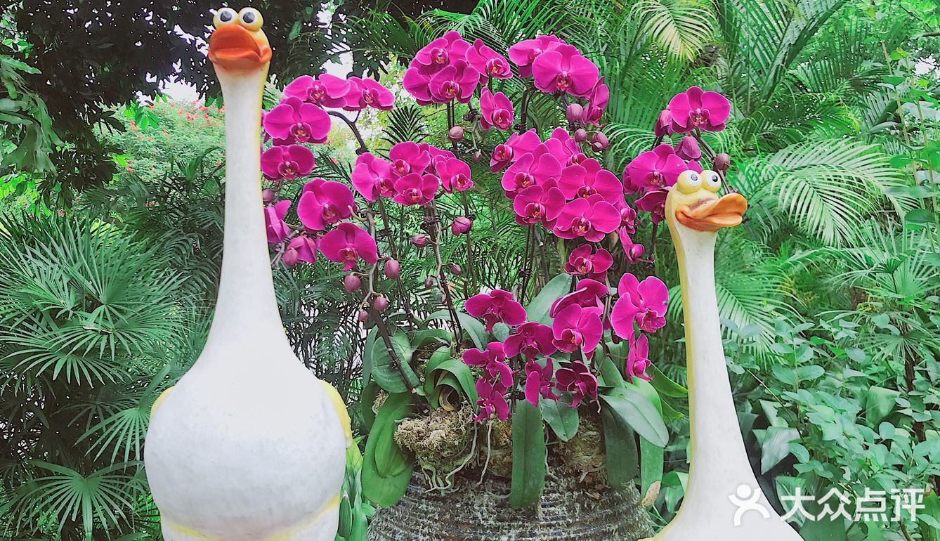 周末放假肯定要去逛公园呀