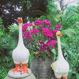 周末放假肯定要去逛公园呀