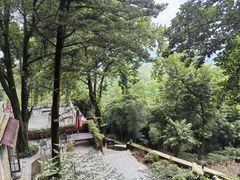-莫干山风景区