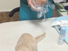 -美联众合24小时·皮肤科·外科·全科诊疗中心(华苑分院)