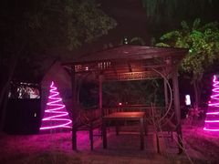 -枫花园汽车电影院(朝阳公园店)