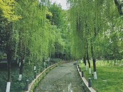-温江公园