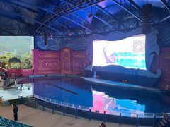 -横店影视城梦幻谷园区