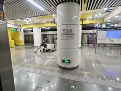 -平乐园(地铁站)