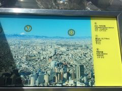 -东京都厅舍