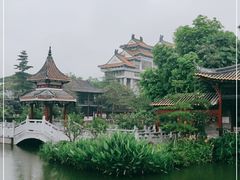 -顺峰山公园