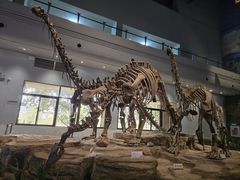 -自贡恐龙博物馆