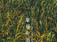 -杭州植物园