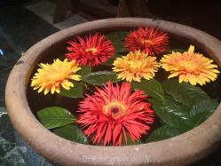 -琦品高端美容SPA私佳美场