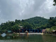 -西双版纳原始森林公园