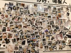 -瑞派·关忠动物医院·猫专科·犬专科(三环新城店)
