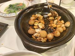 -广州建国酒店-盈丰阁粤菜-粤式茶点
