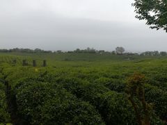 -南京市江宁方山