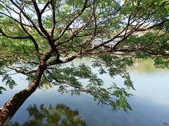 -白马涧龙池景区