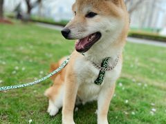 -龙美术馆(西岸馆)