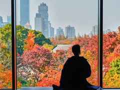 -六朝博物馆