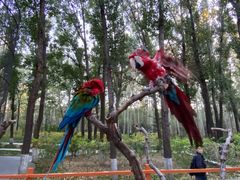 -北京野生动物园