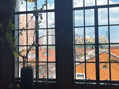 -滇野云南野生菌餐厅(陕西南路店)