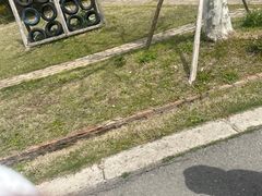 -前小桔亲子创意农场·草莓采摘·露营烧烤