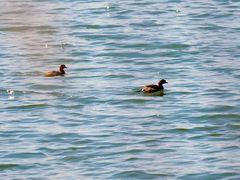 -野鸭湖国家湿地公园