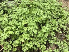 -鄞州雪菜博物馆