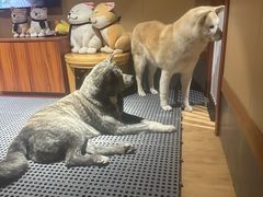 -大江户·温泉洗浴(浑南店)