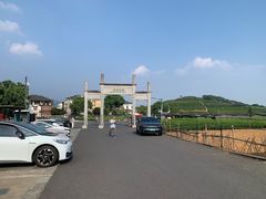 -龙坞茶村