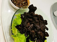 -双井轩(双井店)