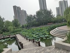 -南翠屏公园