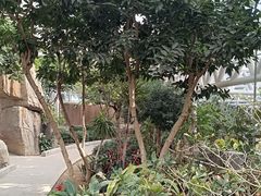-石家庄市植物园