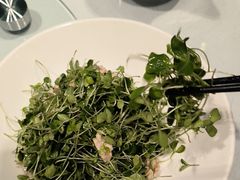 -正兴蜀园(科技园区店)