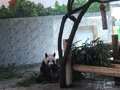 -西安秦岭野生动物园