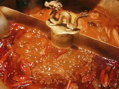 -小龙翻大江文化火锅(宽窄店)
