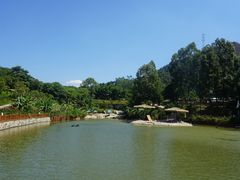 -泉州海丝野生动物世界